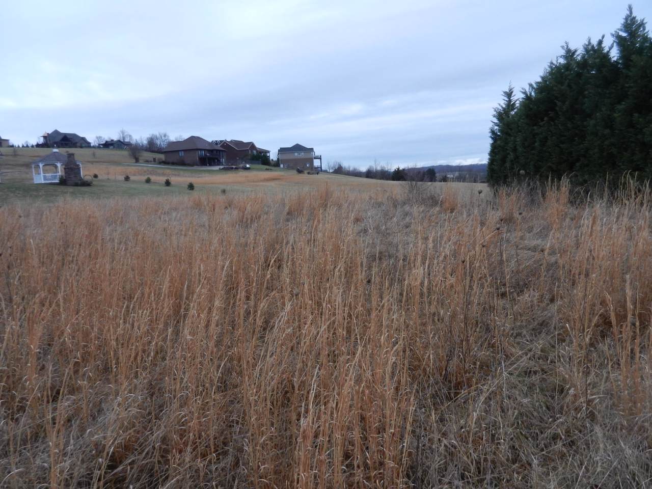1912 Muddy Creek Road - Photo 1