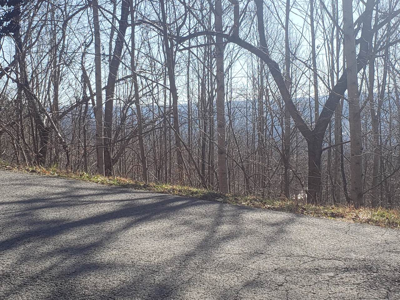 Lot 679 Chimney Rock Road - Photo 1 Lot 679 Chimney Rock Road - Photo 1