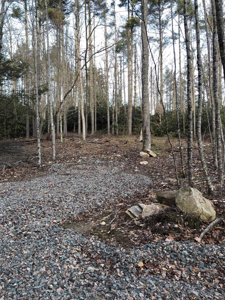 Tbd Berry Branch Road - Photo 1