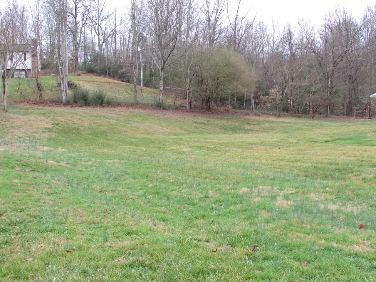 Tbd Powder Branch Road - Photo 1