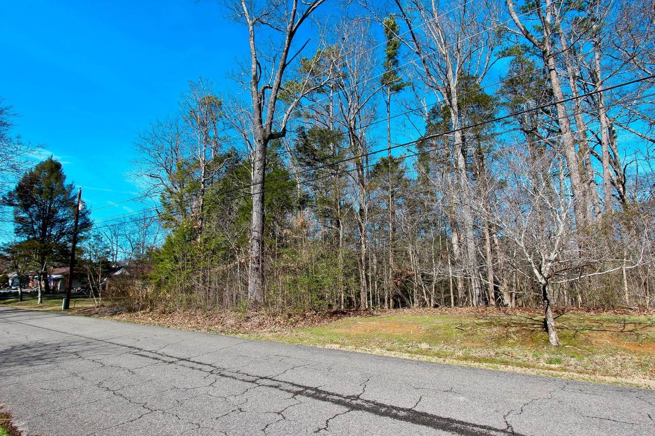 Lot 4 Green Acres Drive - Photo 1