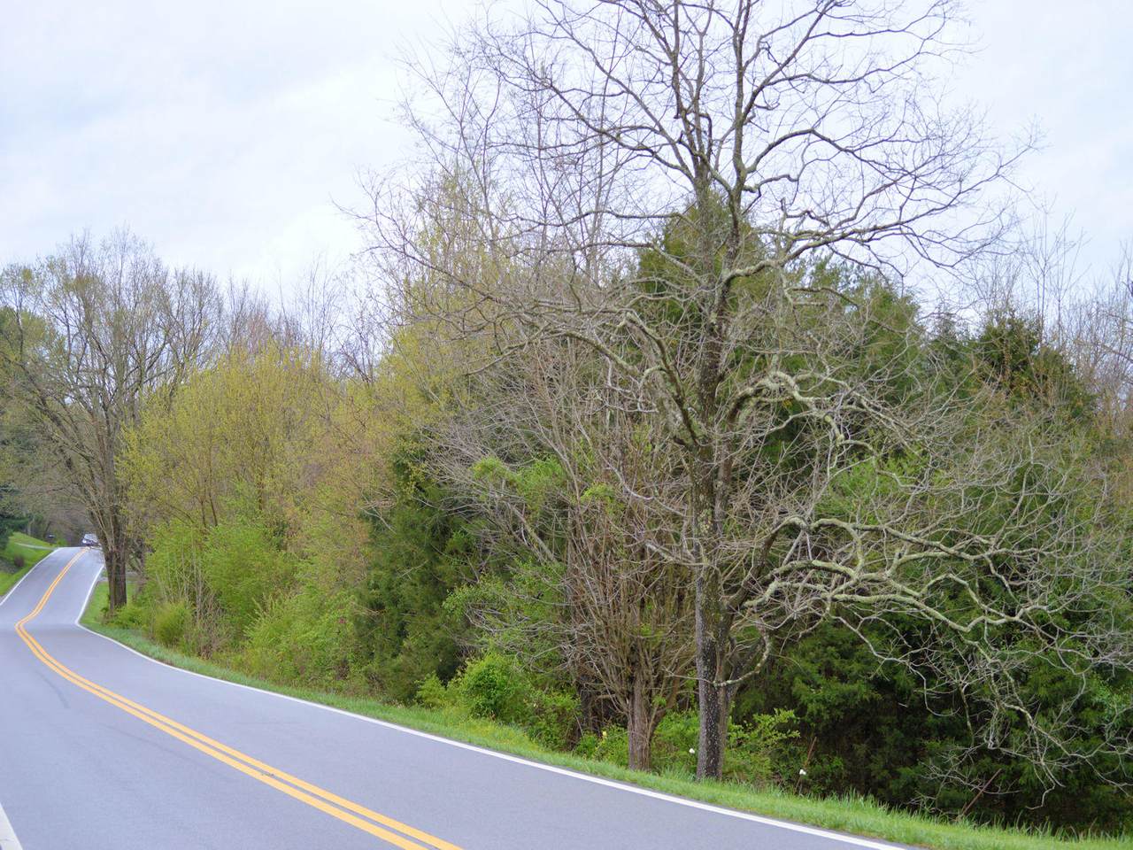3605 Kingsport Highway - Photo 1