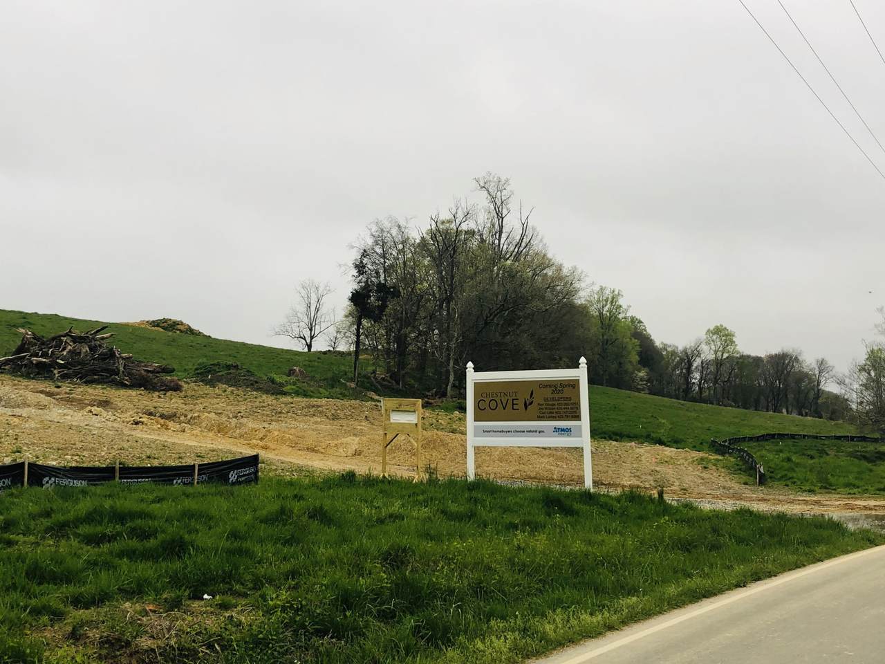 Tbd Boones Station Rd - Photo 1