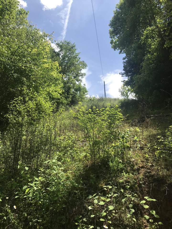 947 Cedar Springs Valley Road - Photo 1