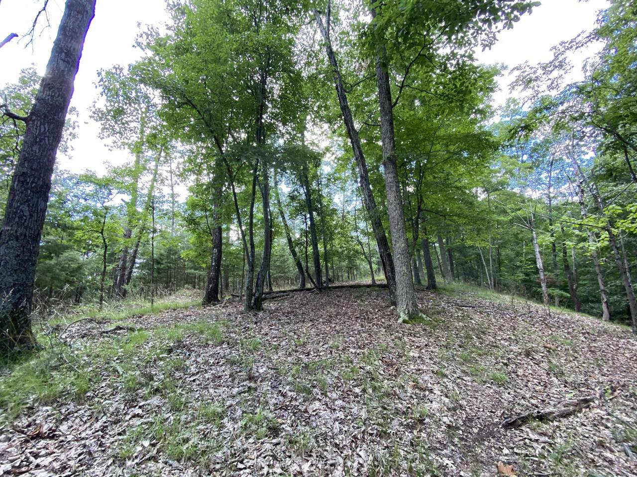 299 Chelaque Way - Photo 1