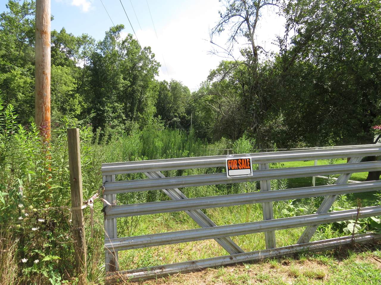 00 Hash Hollow Road - Photo 1