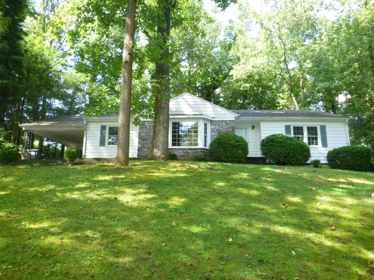 516 White Oak Lane - Photo 1
