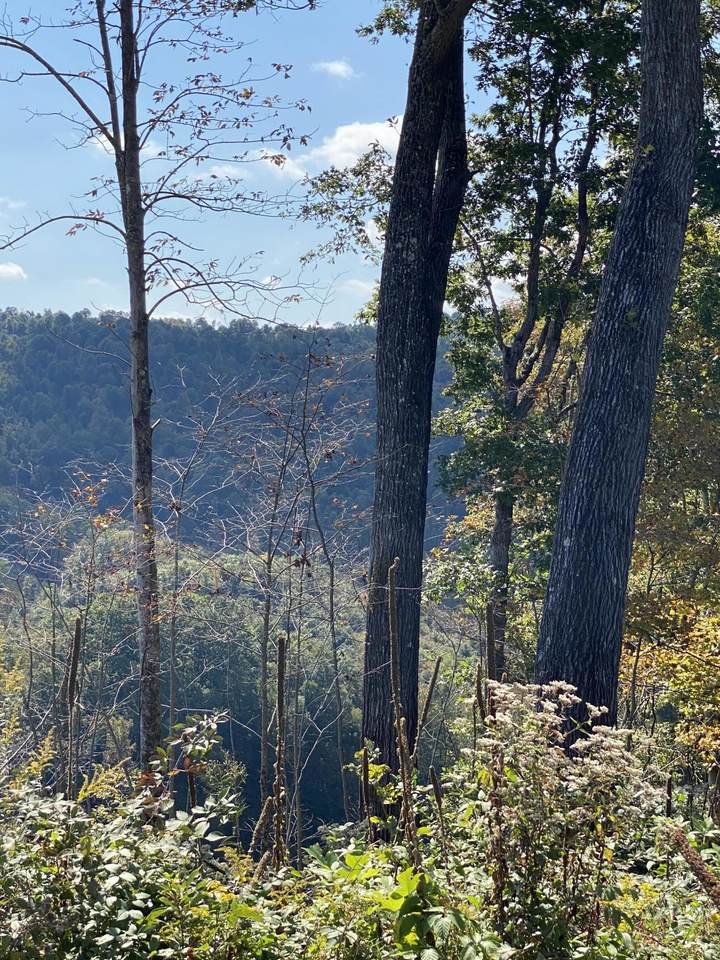 00 Hunters Valley Road - Photo 1
