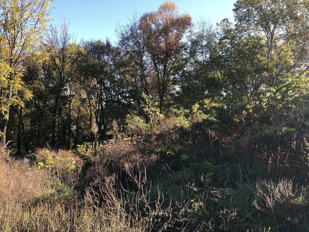 Tbd Highland Drive - Photo 1