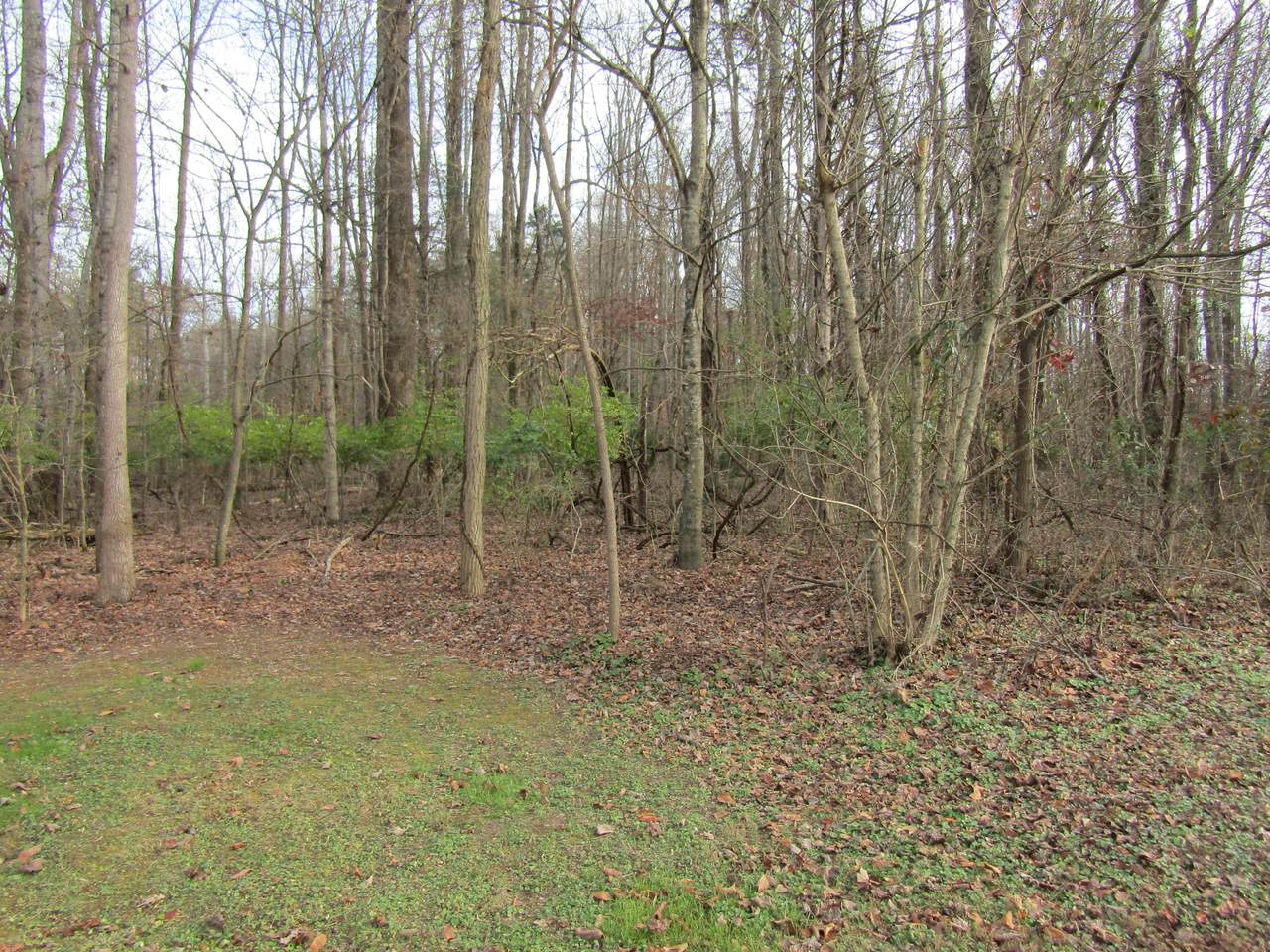 00 Baywood Drive Drive - Photo 1