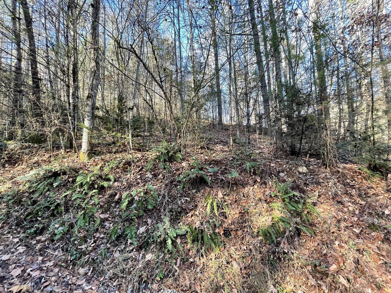 00 Raven Branch Road - Photo 1