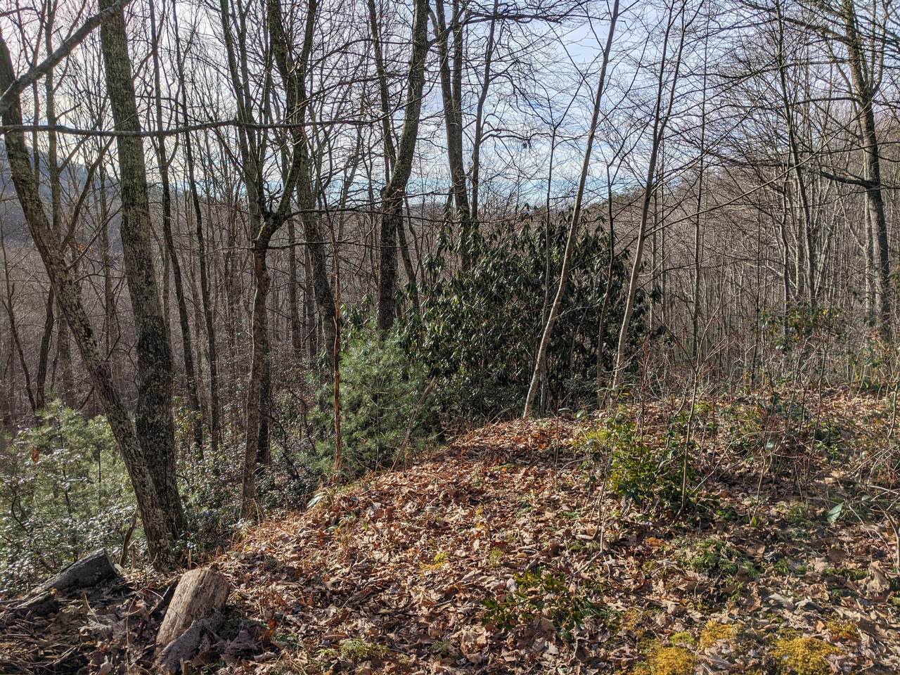Tbd Locust Gap Road - Photo 1