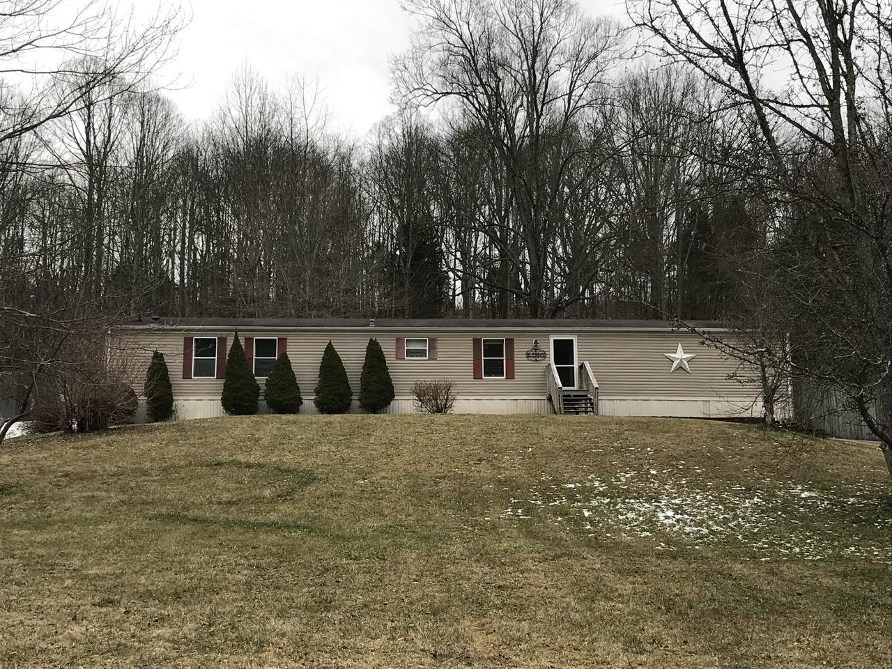 3681 Highway 390 - Photo 1