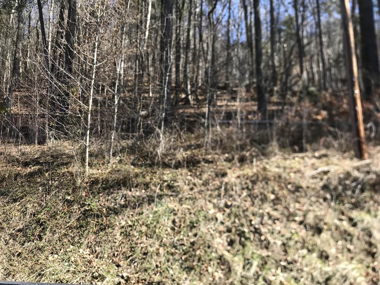 Tbd Rhea Road - Photo 1