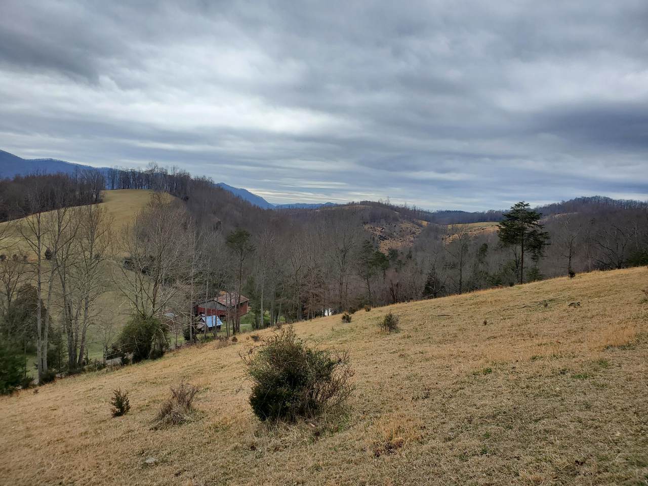 Tbd Mineral Hill Lane - Photo 1