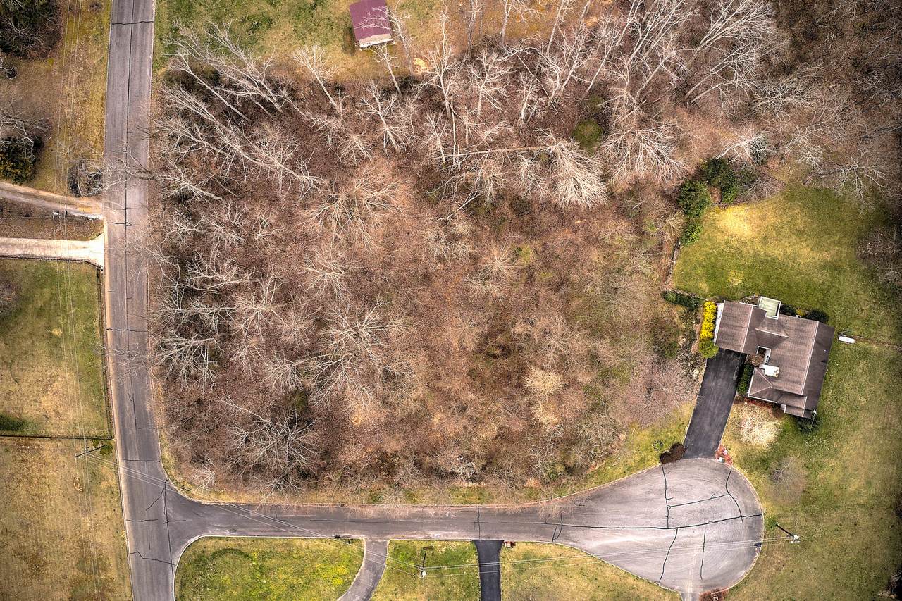 Tbd Wildwood Court - Photo 1