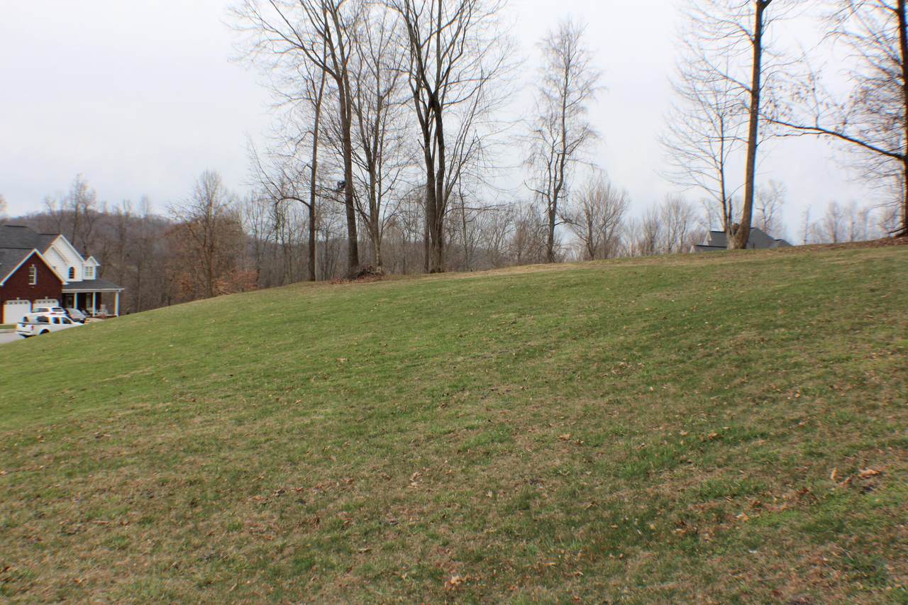 172 Sugarcane Lane - Photo 1
