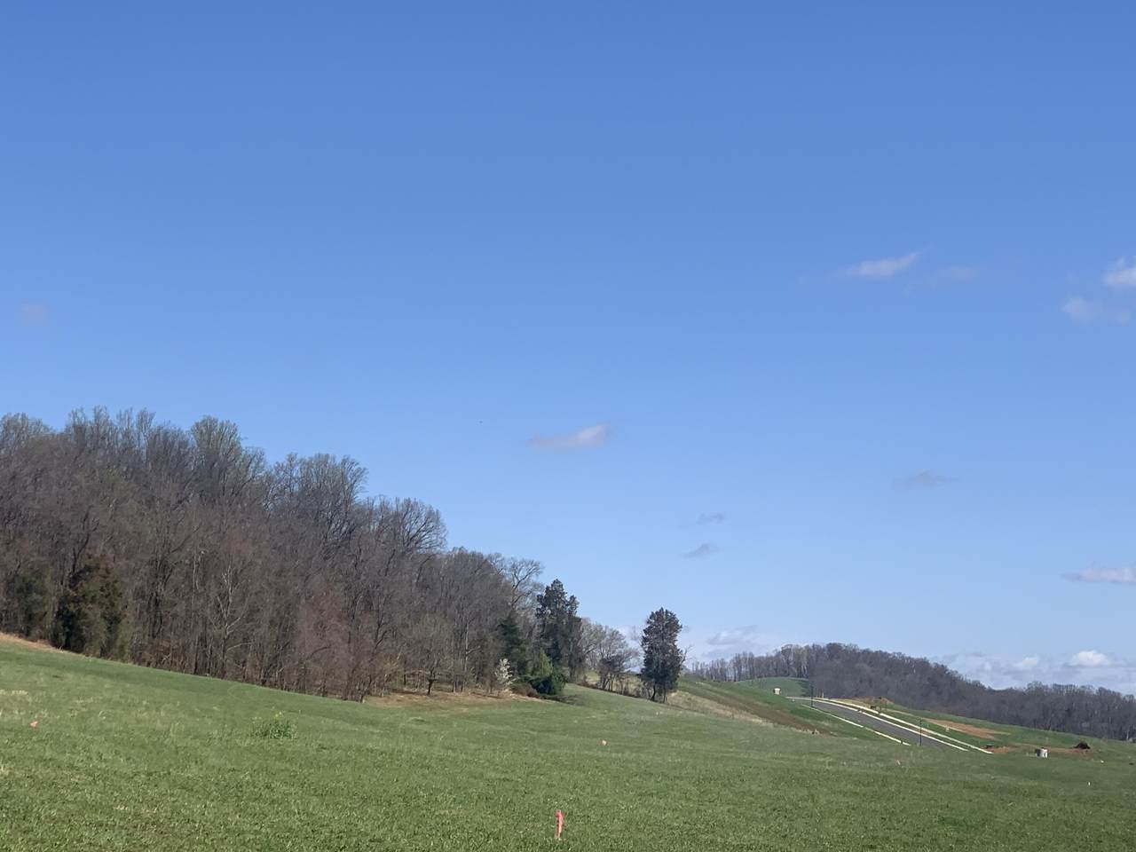 Tbd Boones Station Rd - Photo 1