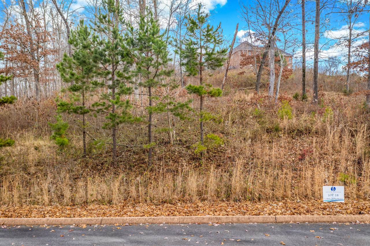 Lot 18 Aidans Trail - Photo 1