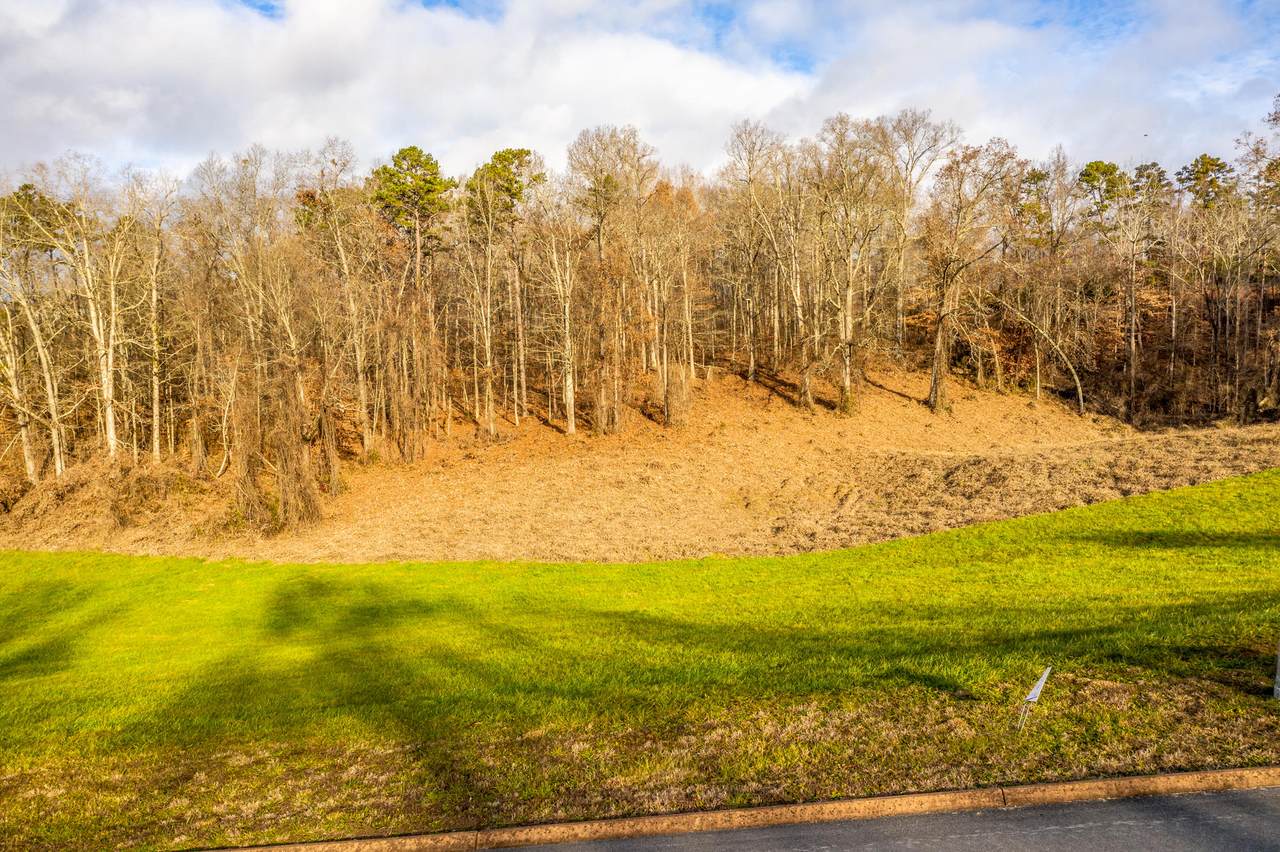 Lot 56 Cow Poke Lane - Photo 1