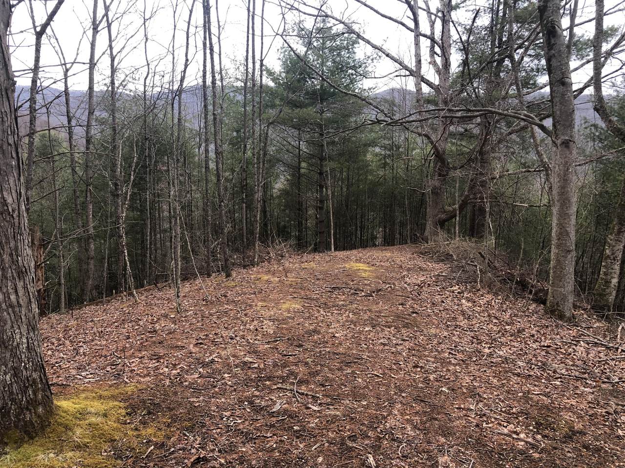 Tbd Laurel Highlands Drive - Photo 1