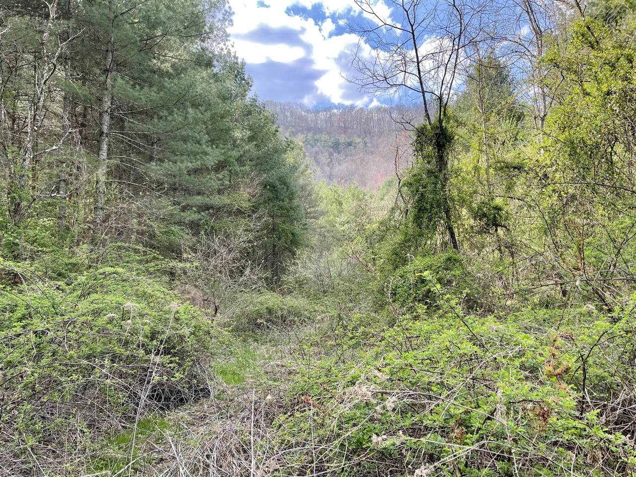 Tbd Orby Cantrell Highway - Photo 1