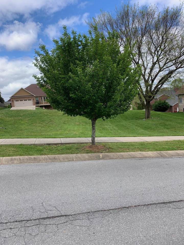 409 Oliver Approach - Photo 1