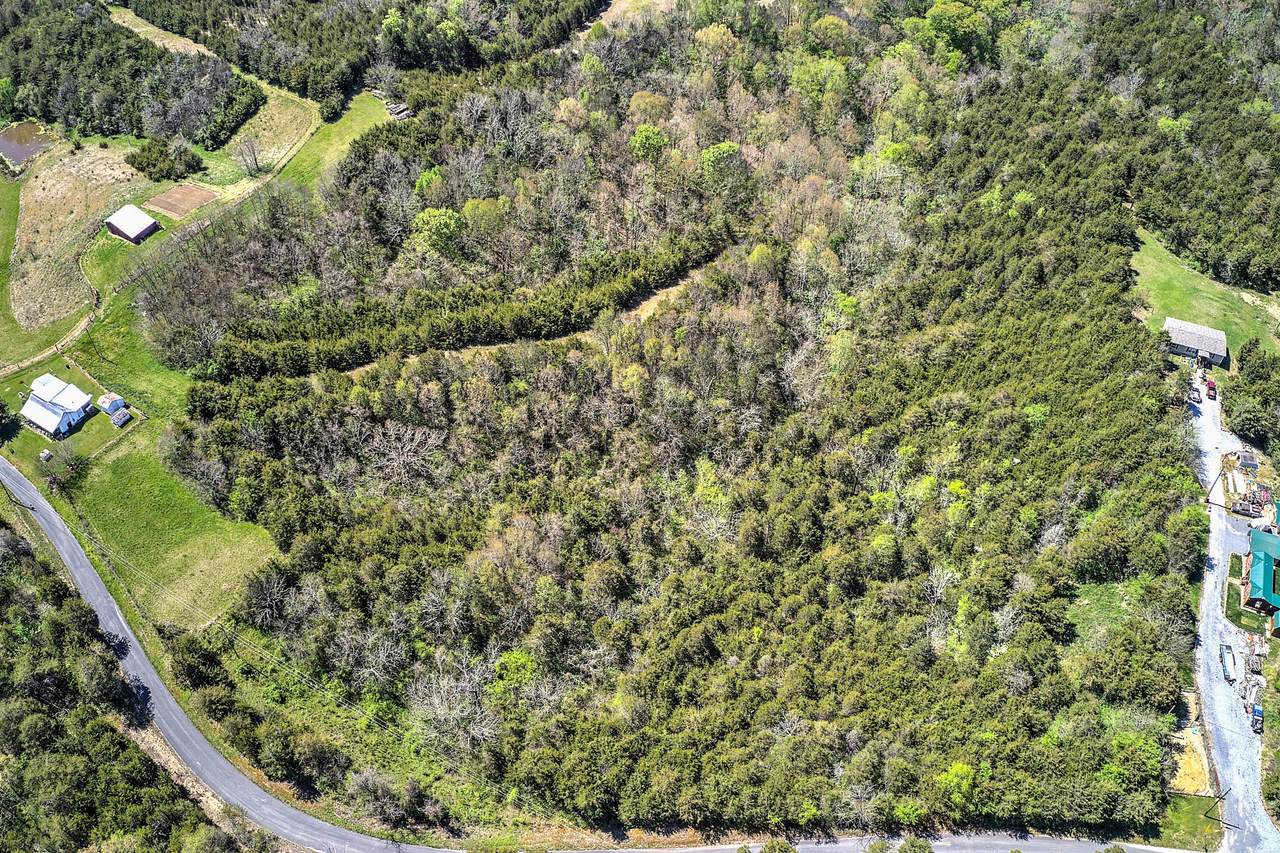 0 Blue Springs Road - Photo 1