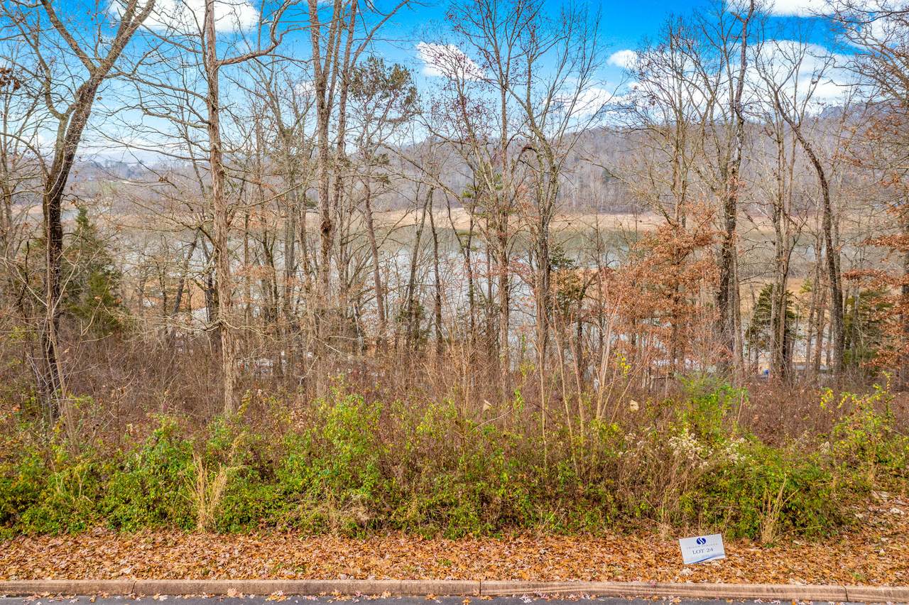 Lot 24 Aidans Trail - Photo 1