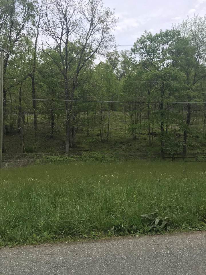 00 Reedy Creek Rd - Photo 1