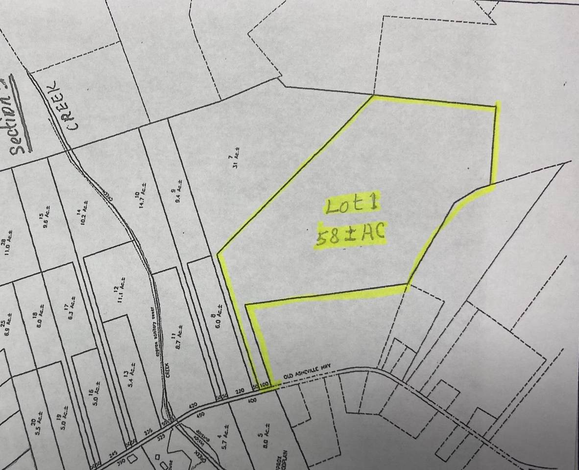 00 Old Asheville Hwy Lot 1 - Photo 1
