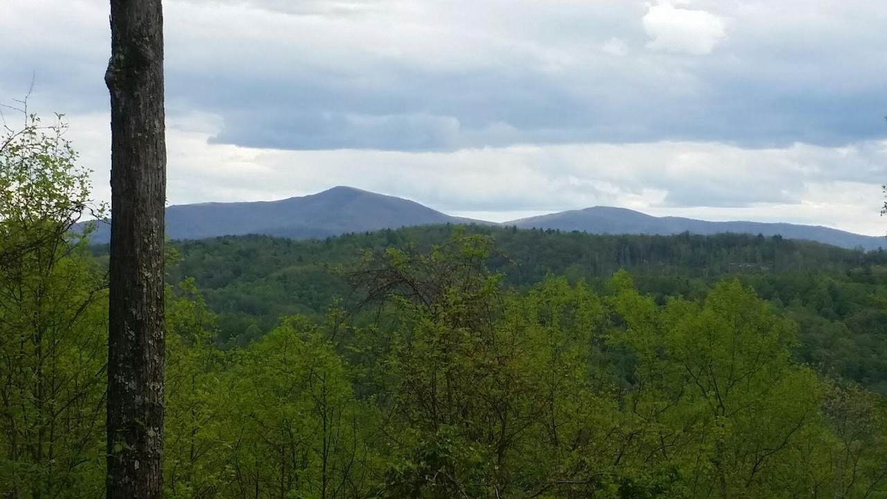 Tbd Mays Ridge - Lot 16 Road - Photo 1