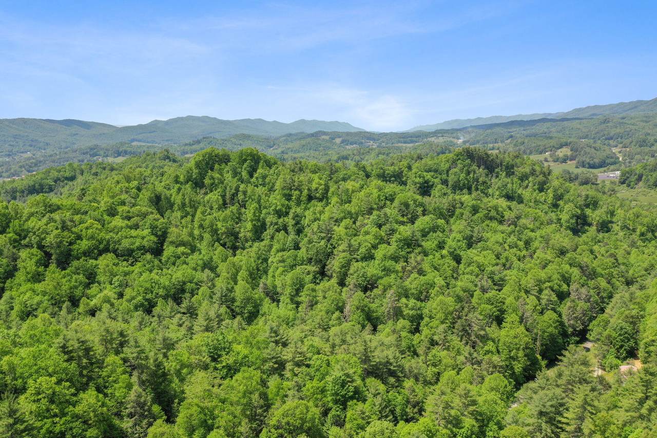 Tbd Tobacco Road - Photo 1