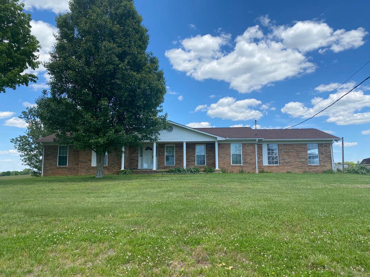 135 Nolichuckey Road - Photo 1