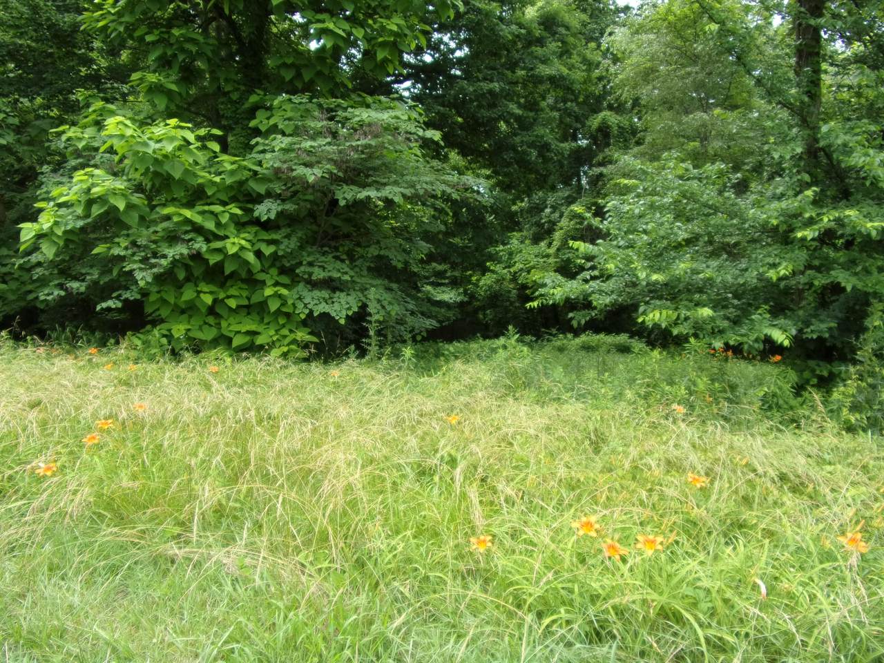 0 W Barton Ridge - Photo 1