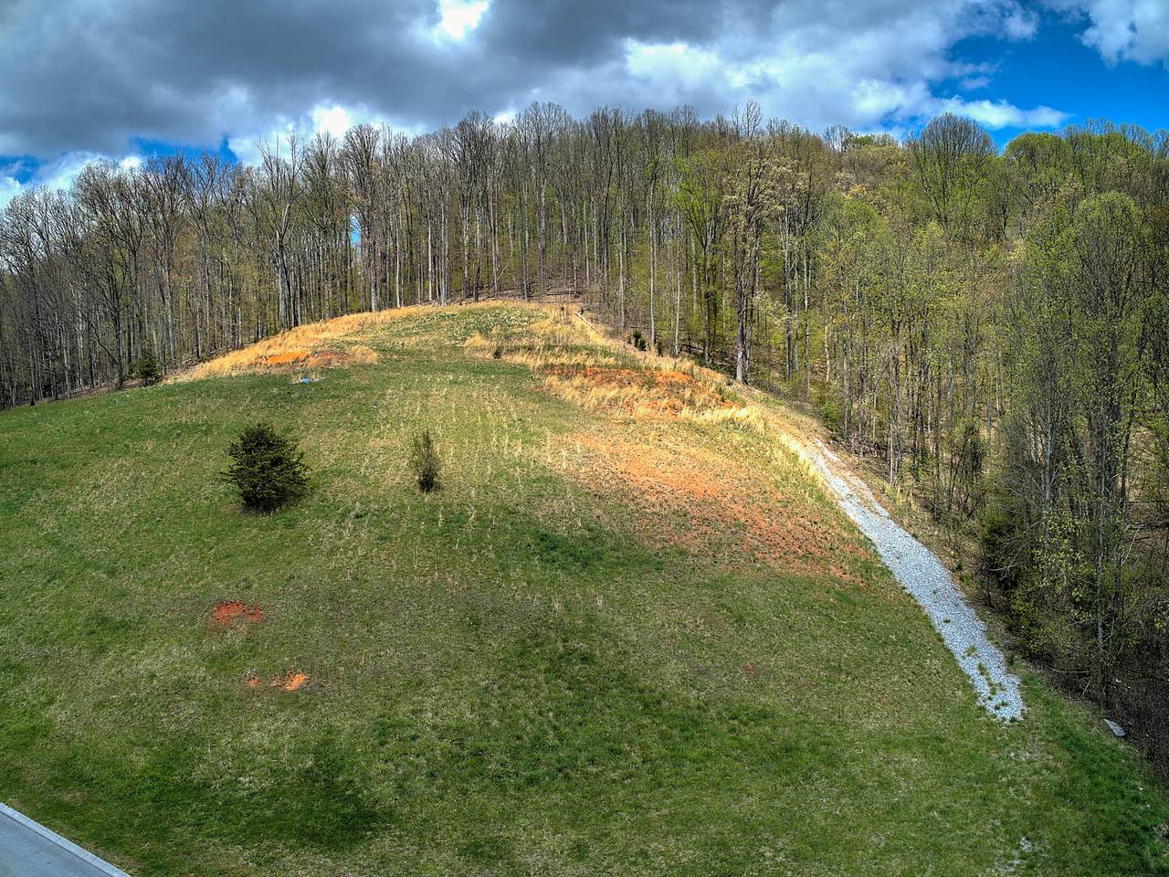216 Old Island Trail - Photo 1