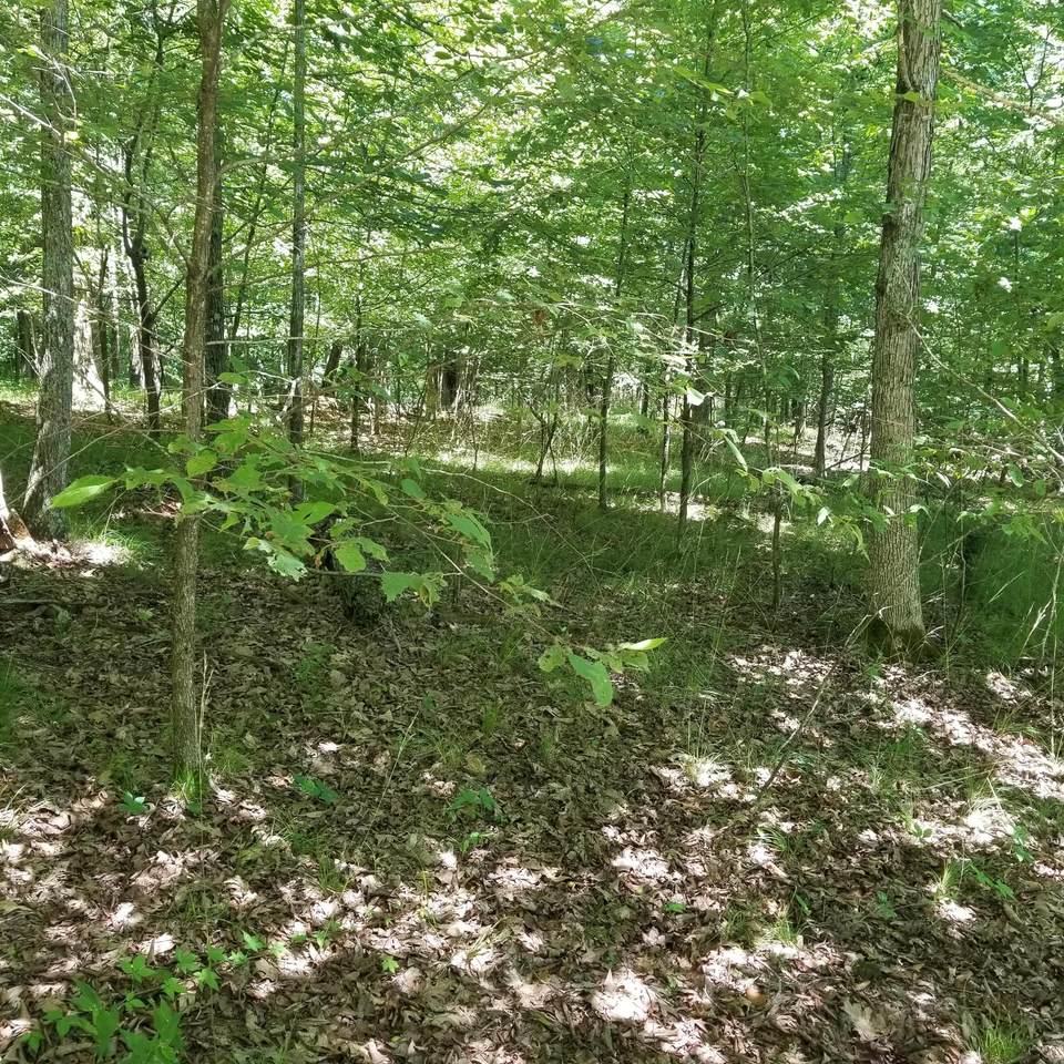 1329 Muskogee Drive - Photo 1