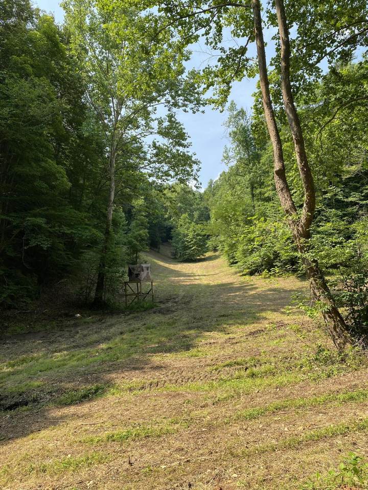 00 Reservoir Road - Photo 1