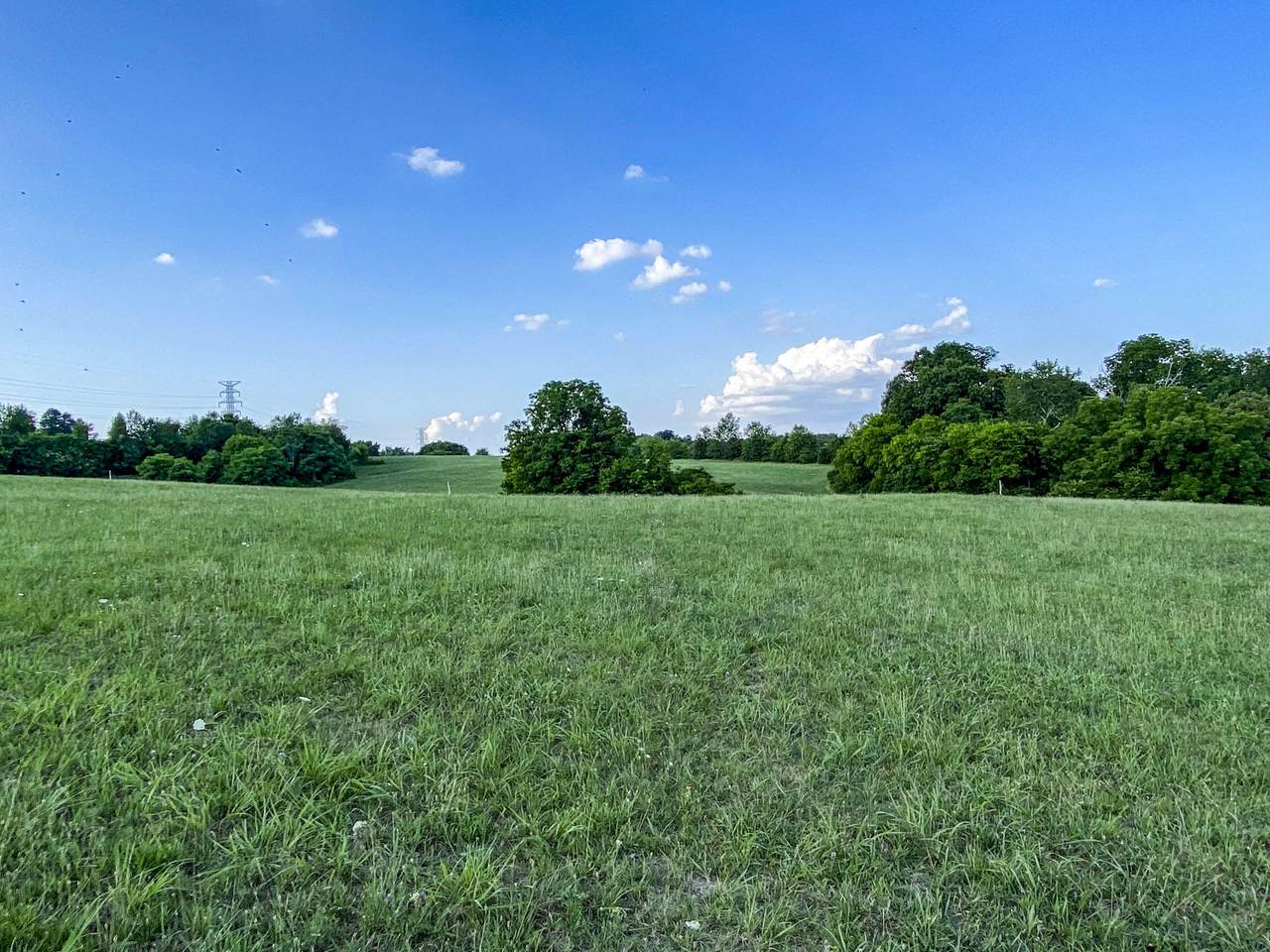 Lot 16 Forgety Road - Photo 1