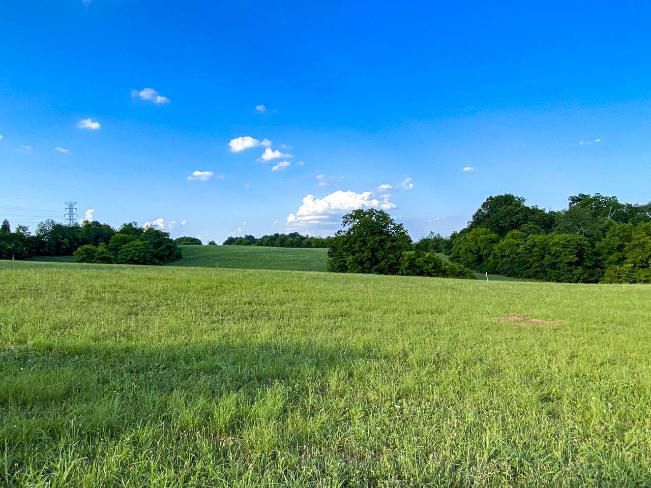 Lot 17 Forgety Road - Photo 1