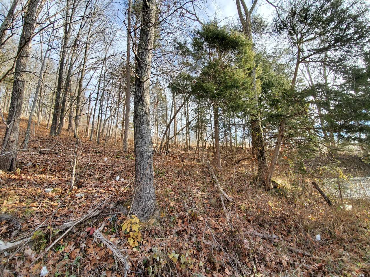 Tbd Raven Fork Road - Photo 1