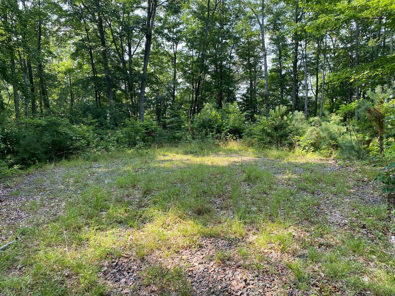 1405 Tamarack Court - Photo 1