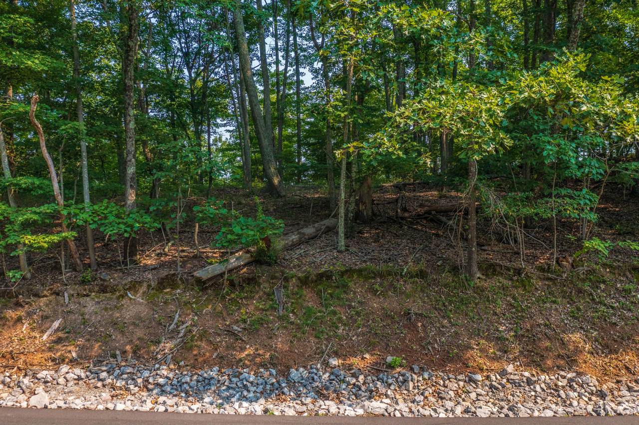 157 Chelaque Way - Photo 1