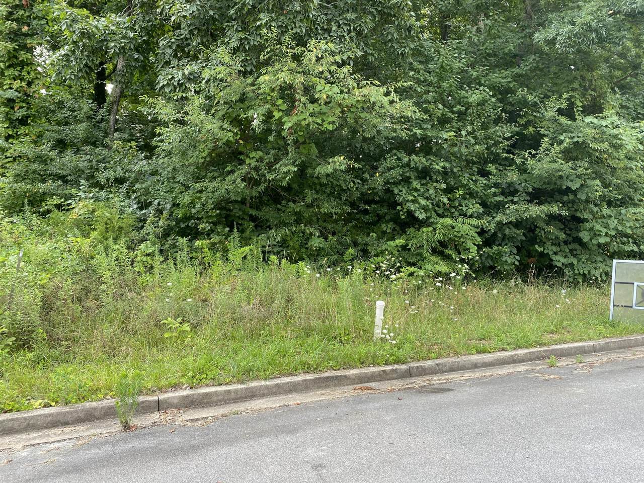 134 Maple Crest - Photo 1