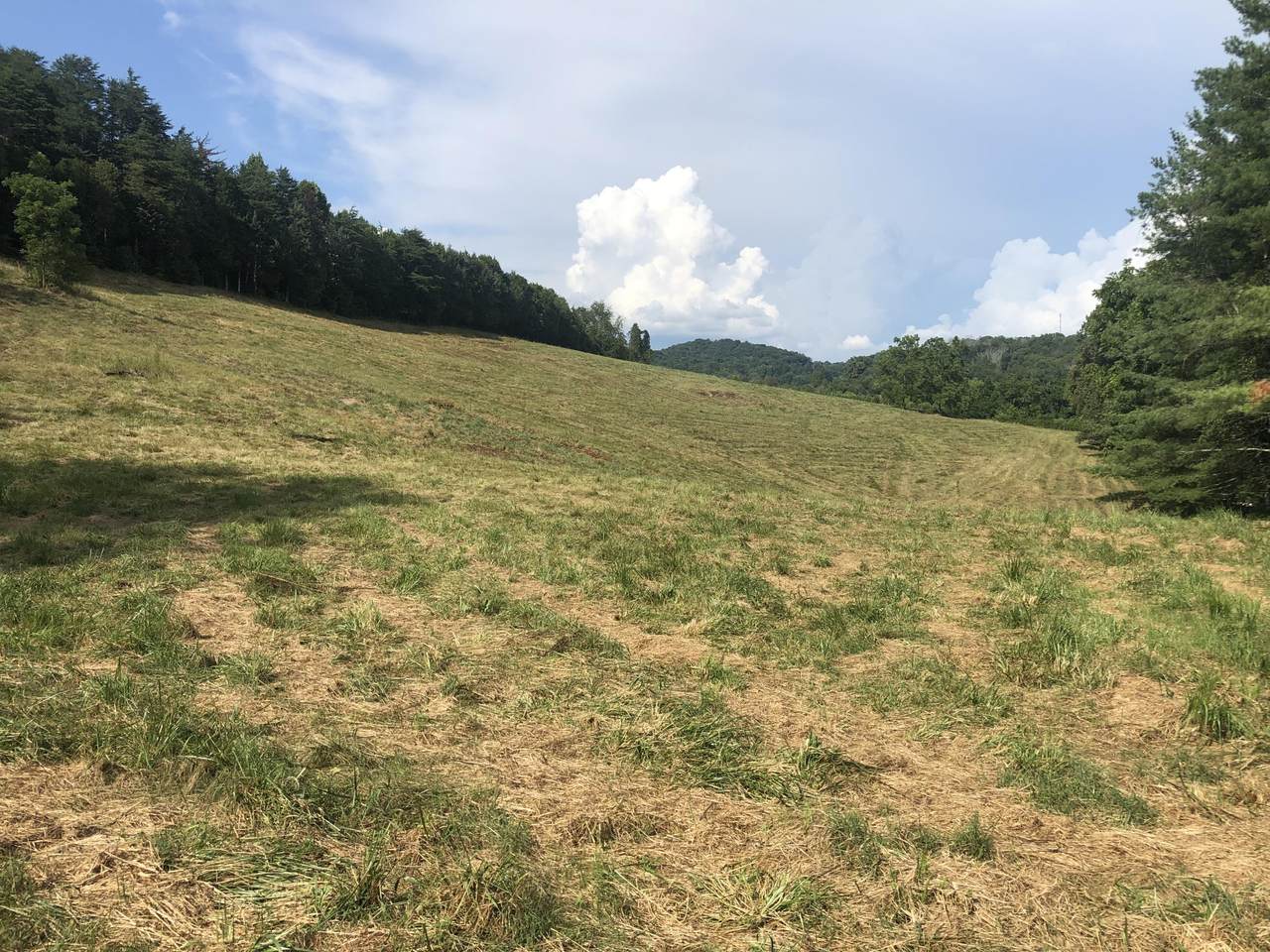 Tbd Gap Creek Road - Photo 1
