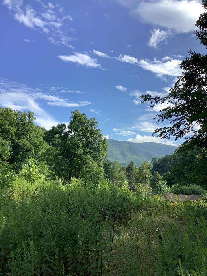 Tbd Upper Stone Mtn Road - Photo 1