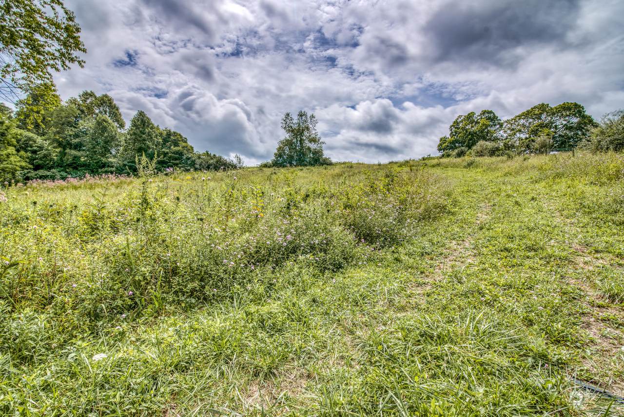 Tbd Bordwine Road - Photo 1