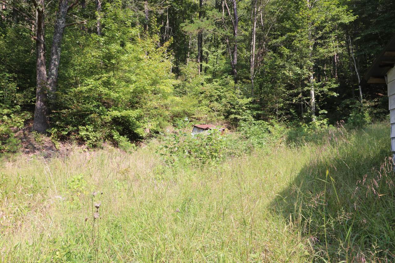 Tbd Grassy Creek Rd - Photo 1