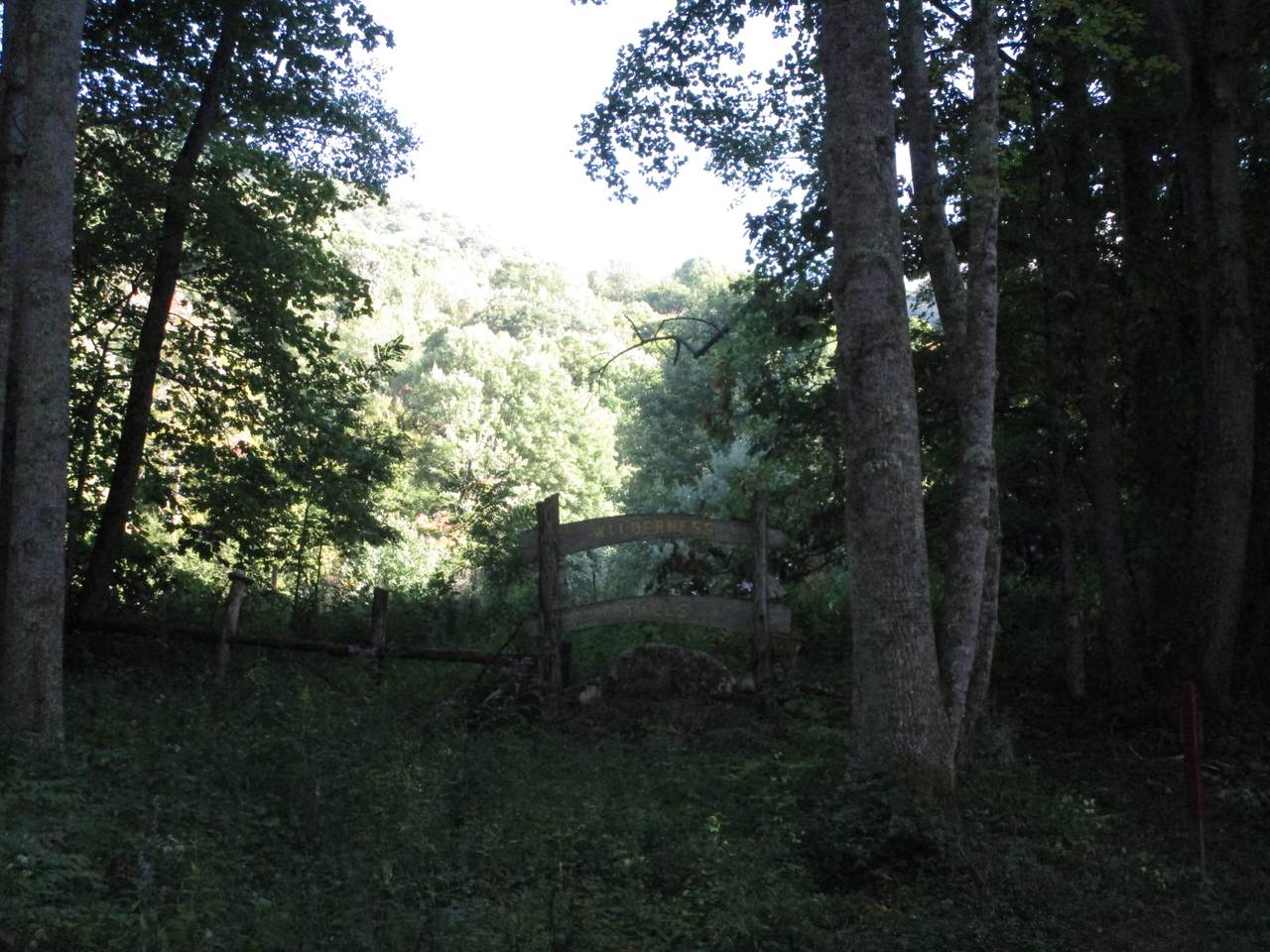 Lot 61 Wilderness Road - Photo 1