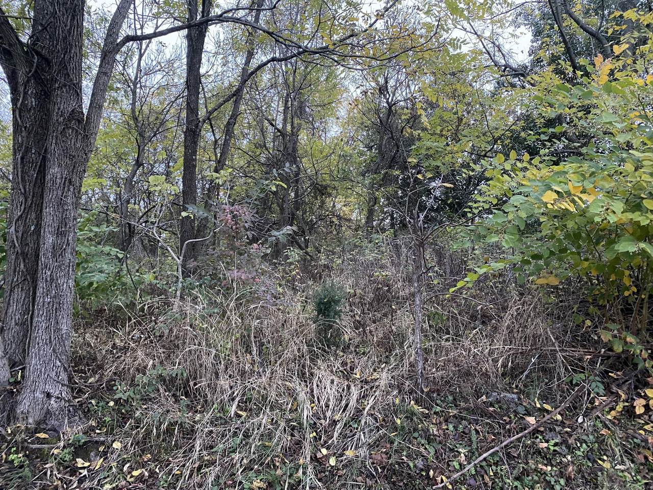 Tbd Railroad Street - Photo 1